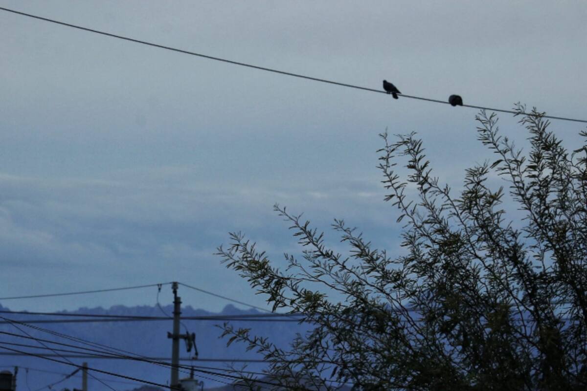 Cielo nublado y ambiente templado este viernes en Mexicali