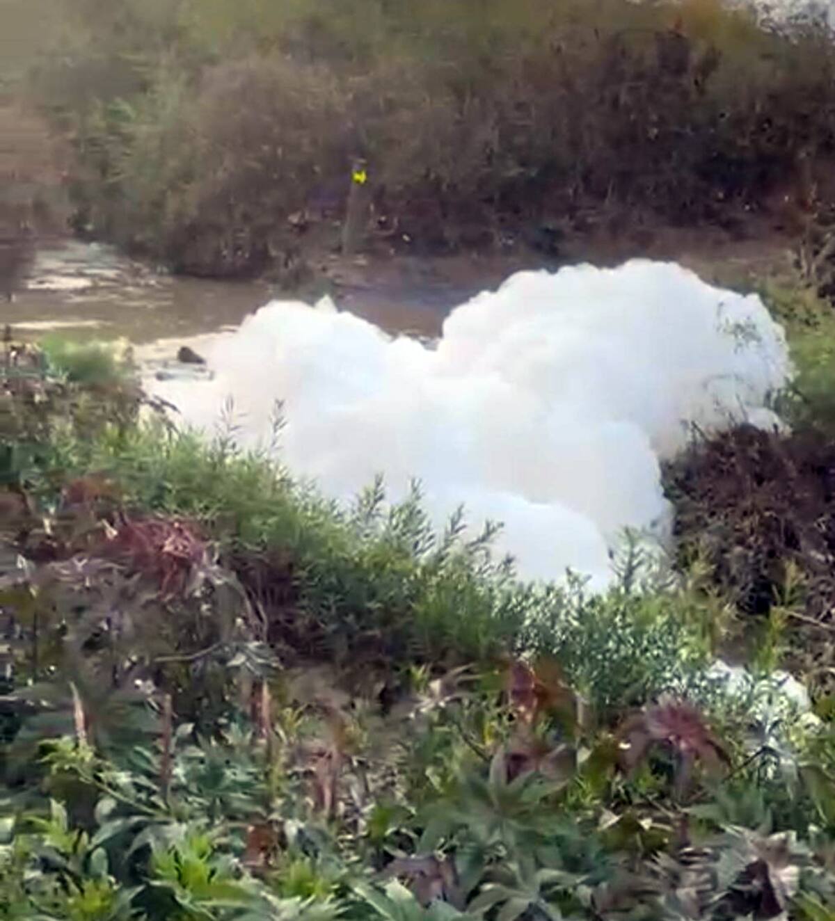 La gran cantidad de aguas negras pudo verse esta mañana en el arroyo.