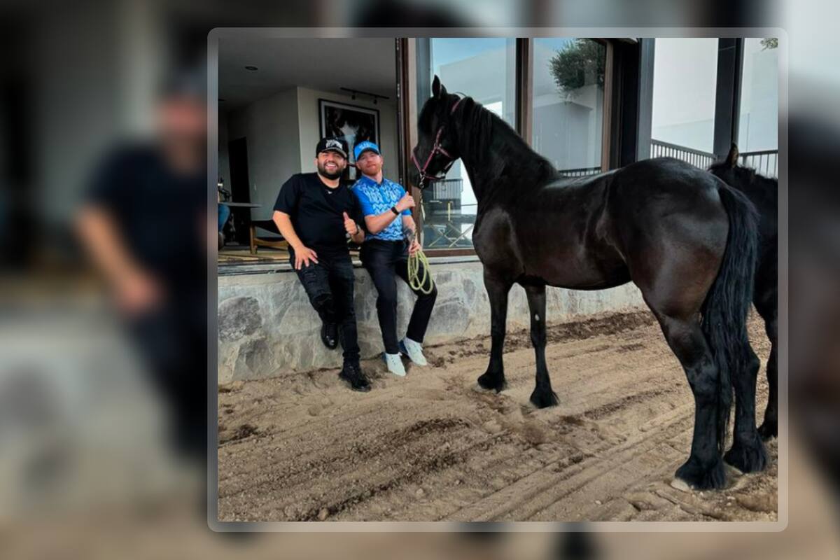 Saúl “El Canelo” Álvarez le regala lujoso caballo a su amigo Luis R Conriquez