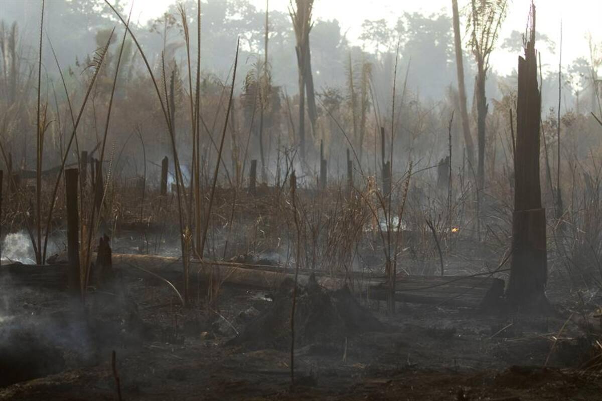 Detecta la NASA gran mancha de monóxido de carbono asociado a los incendios en el Amazonas