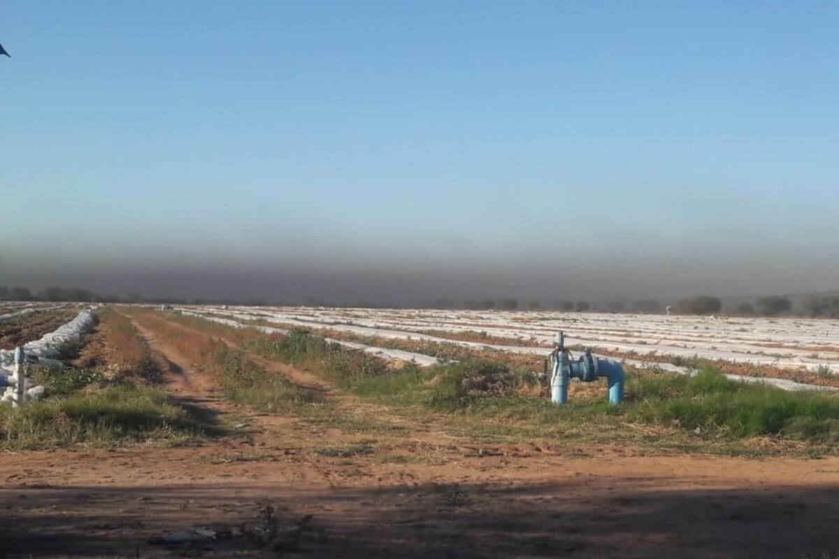 Continúa quema de llantas en valles de Guaymas y Empalme