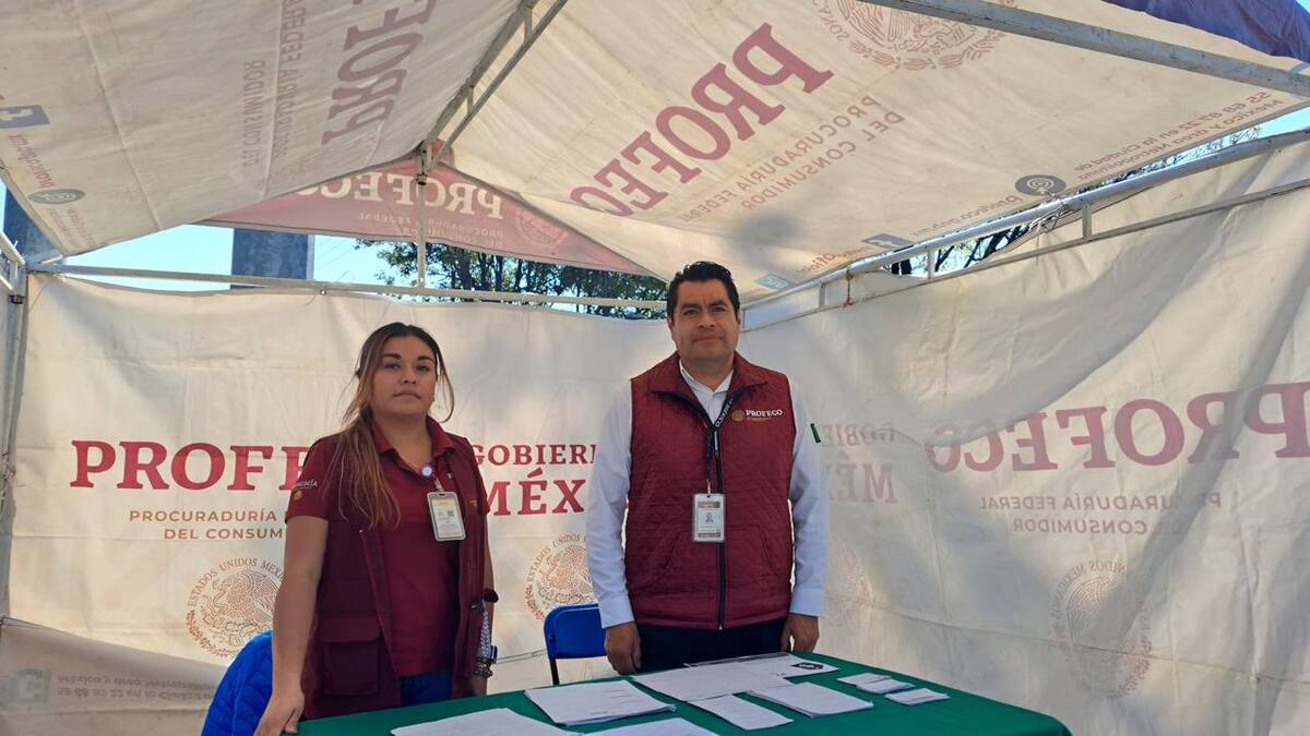 Profeco activa programa especial por temporada vacacional navideña 2024