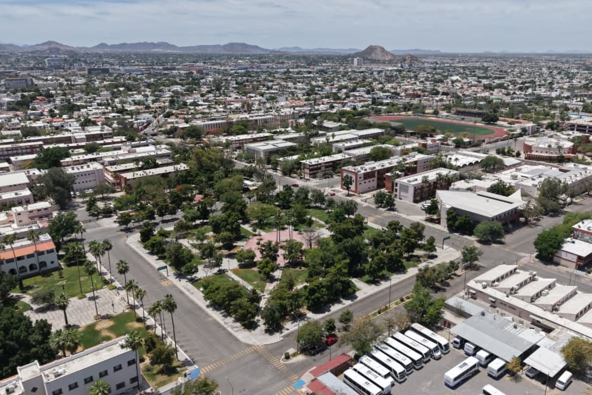 Docentes de la Unison mantienen cuidados de áreas verdes y animales del campus durante huelga