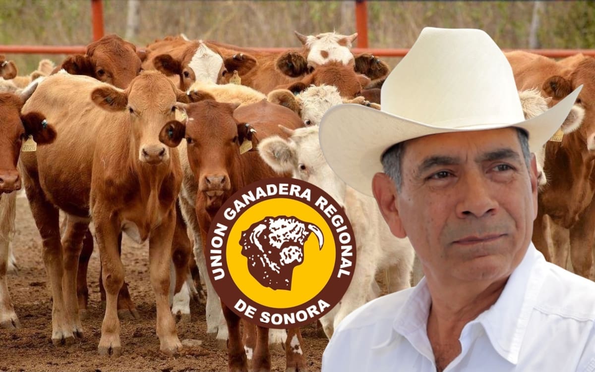 Juan Carlos Ochoa Valenzuela, presidente de la Unión Ganadera Regional en Sonora (UGRS). FOTO: ESPECIAL