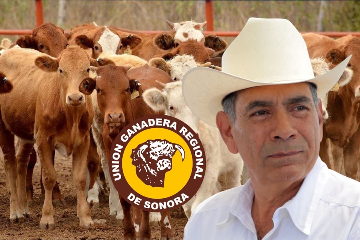 Cambio de gobierno en Estados Unidos retrasa exportación de ganado: UGRS