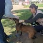 Fumigan más de 3 mil viviendas en Ensenada contra la Rickettsia