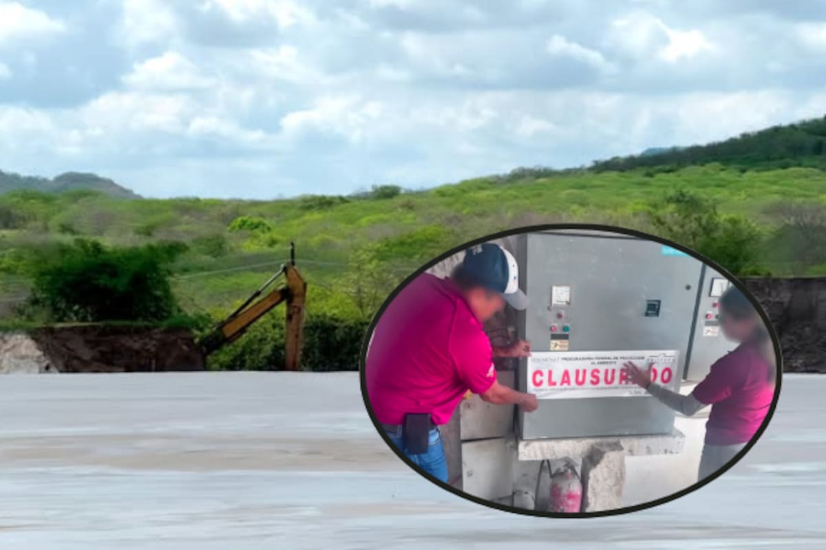 Profepa clausura mina en Sinaloa tras derrame de casi 20 mil m³ de jales que contaminó tres arroyos y selva protegida