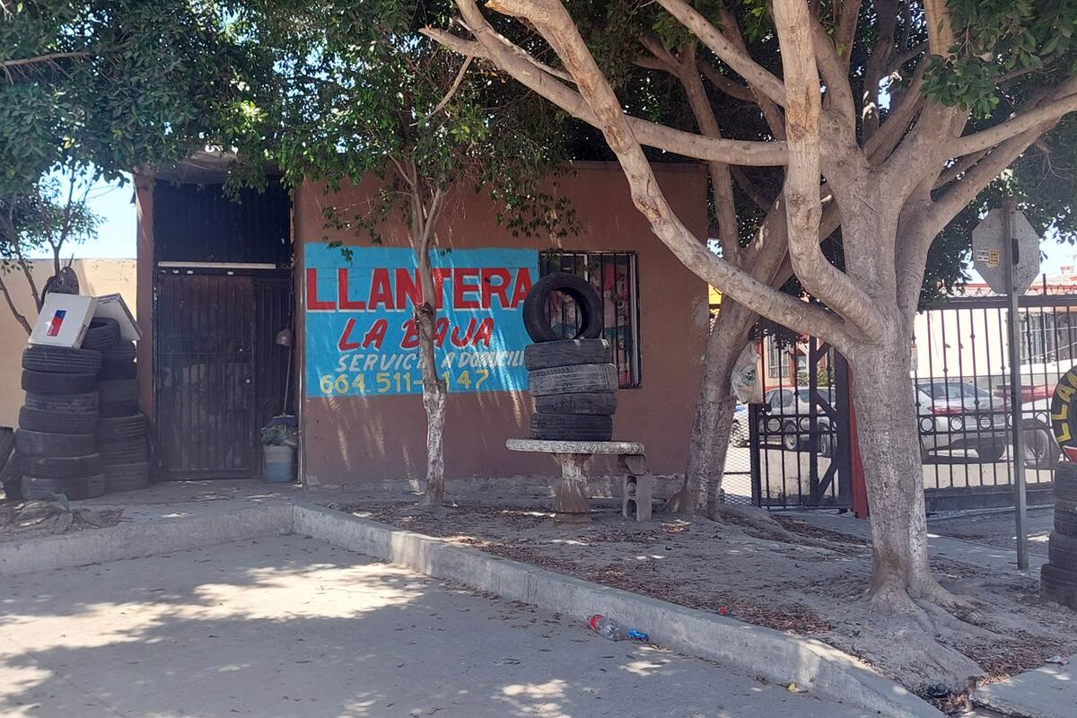 Abandonan restos humanos frente a una llantera en Real de San Francisco