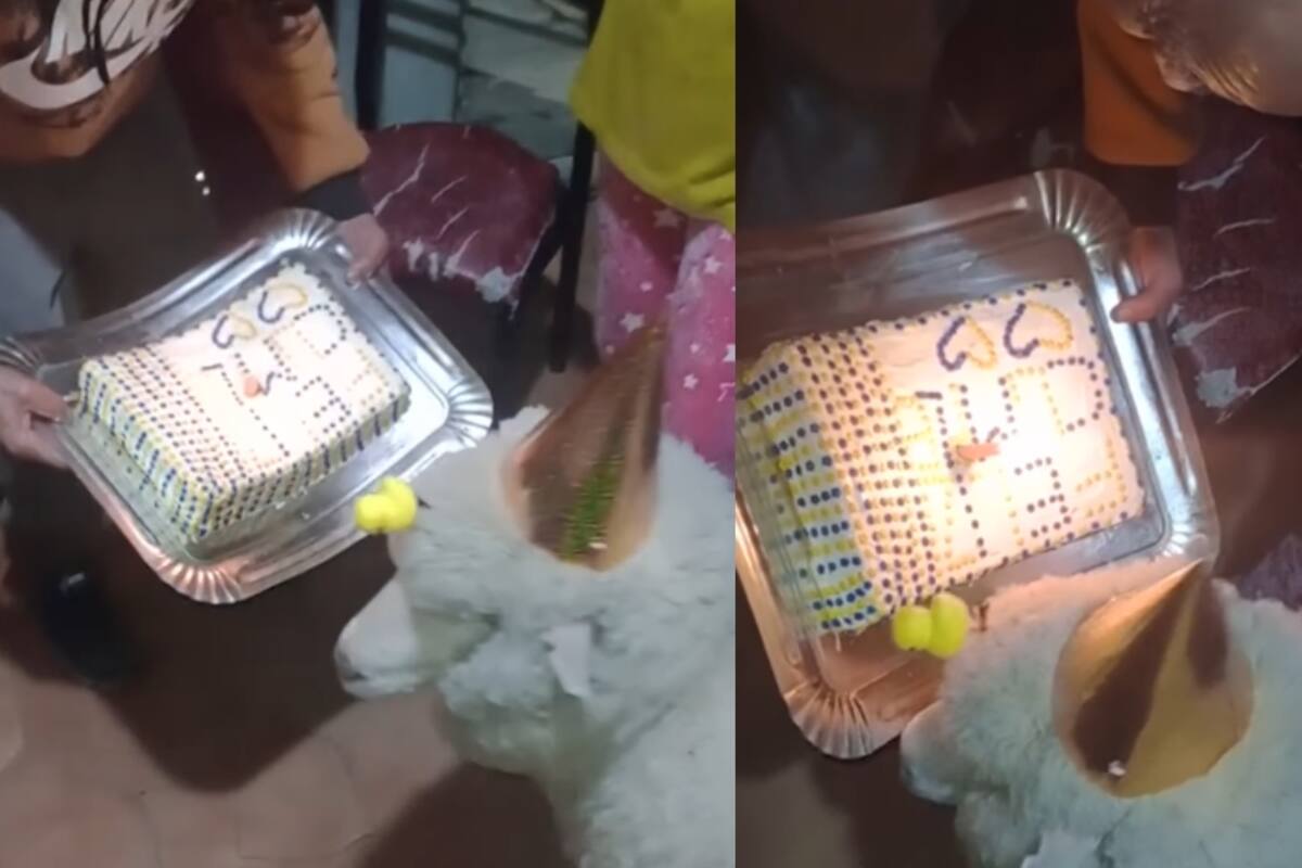 Abuelo le celebra el cumpleaños a su oveja y causa sensación en redes sociales