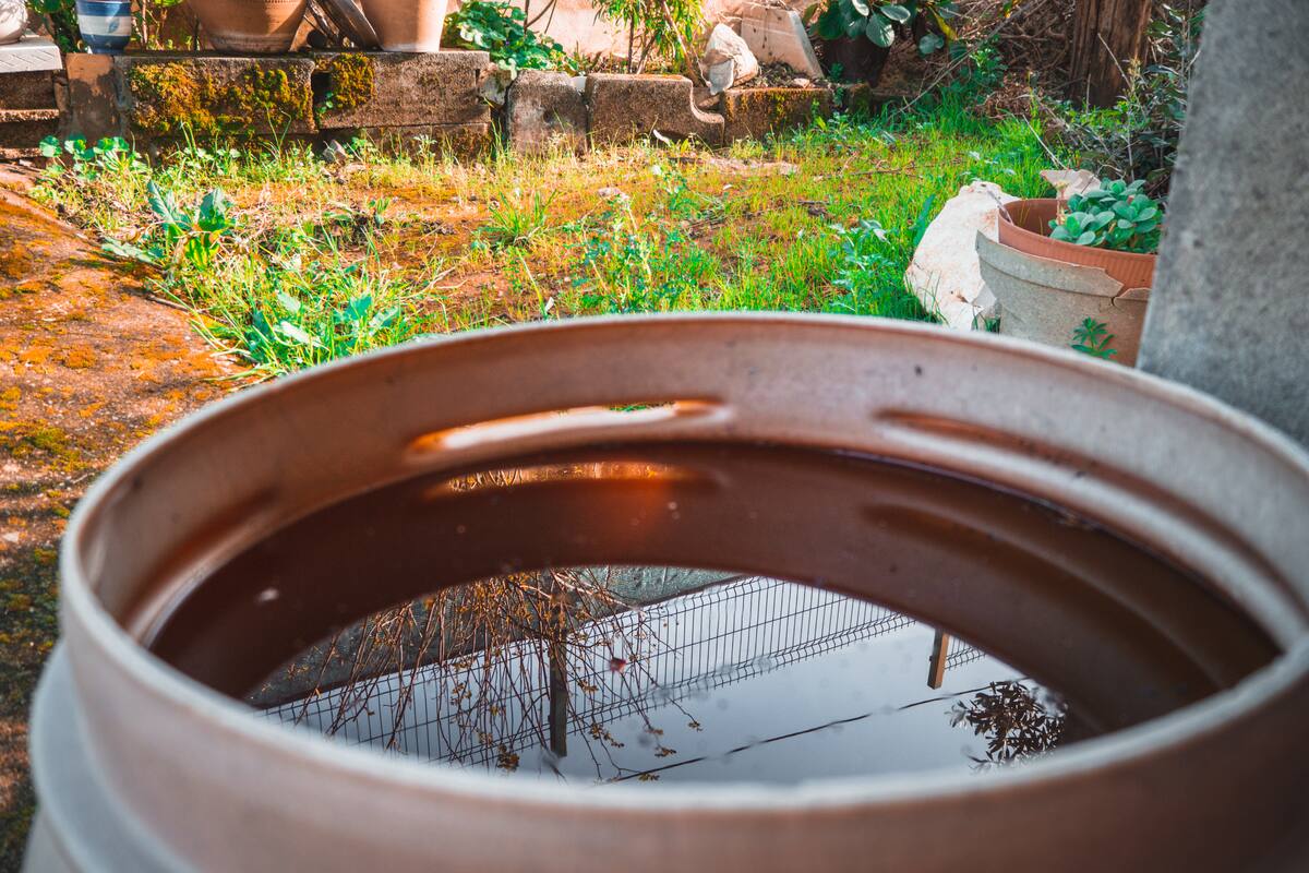 Sequía en Ciudad de México: Estos son los sorprendentes precios que han alcanzado los tinacos de agua