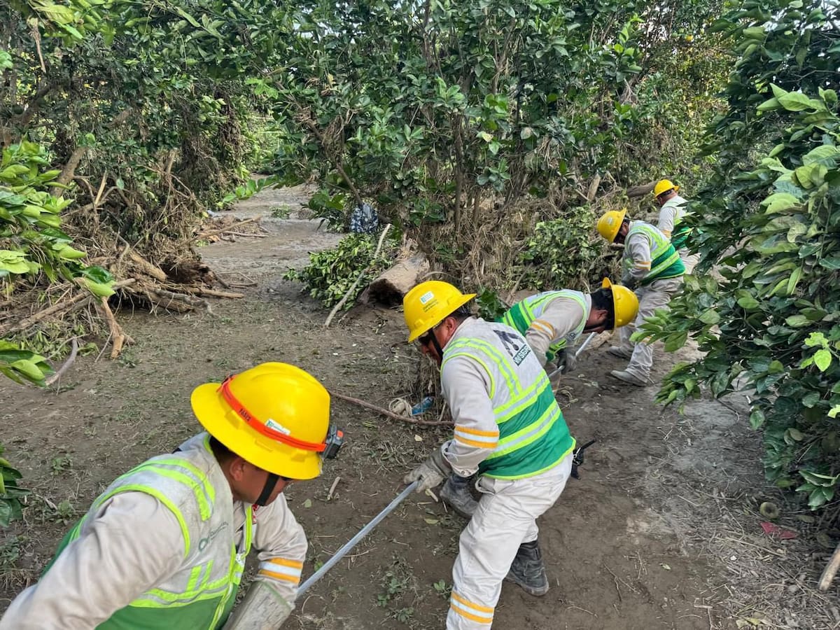 CFE mantiene trabajos continuos día y noche ante afectaciones por lluvias en México.