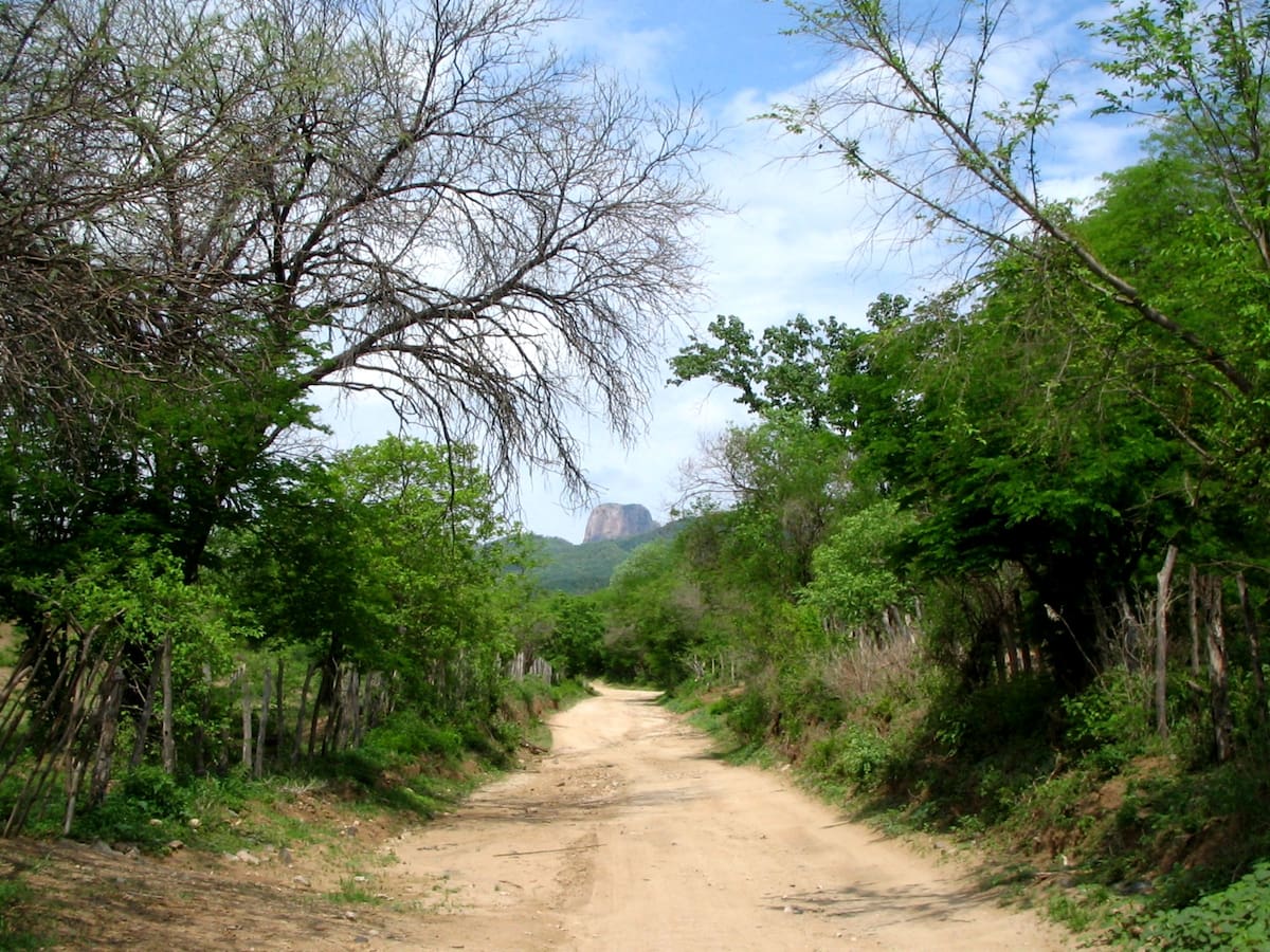 El turismo hacia destinos serranos de Sonora ha crecido, principalmente con visitantes provenientes de Arizona. FOTO: ARCHIVO