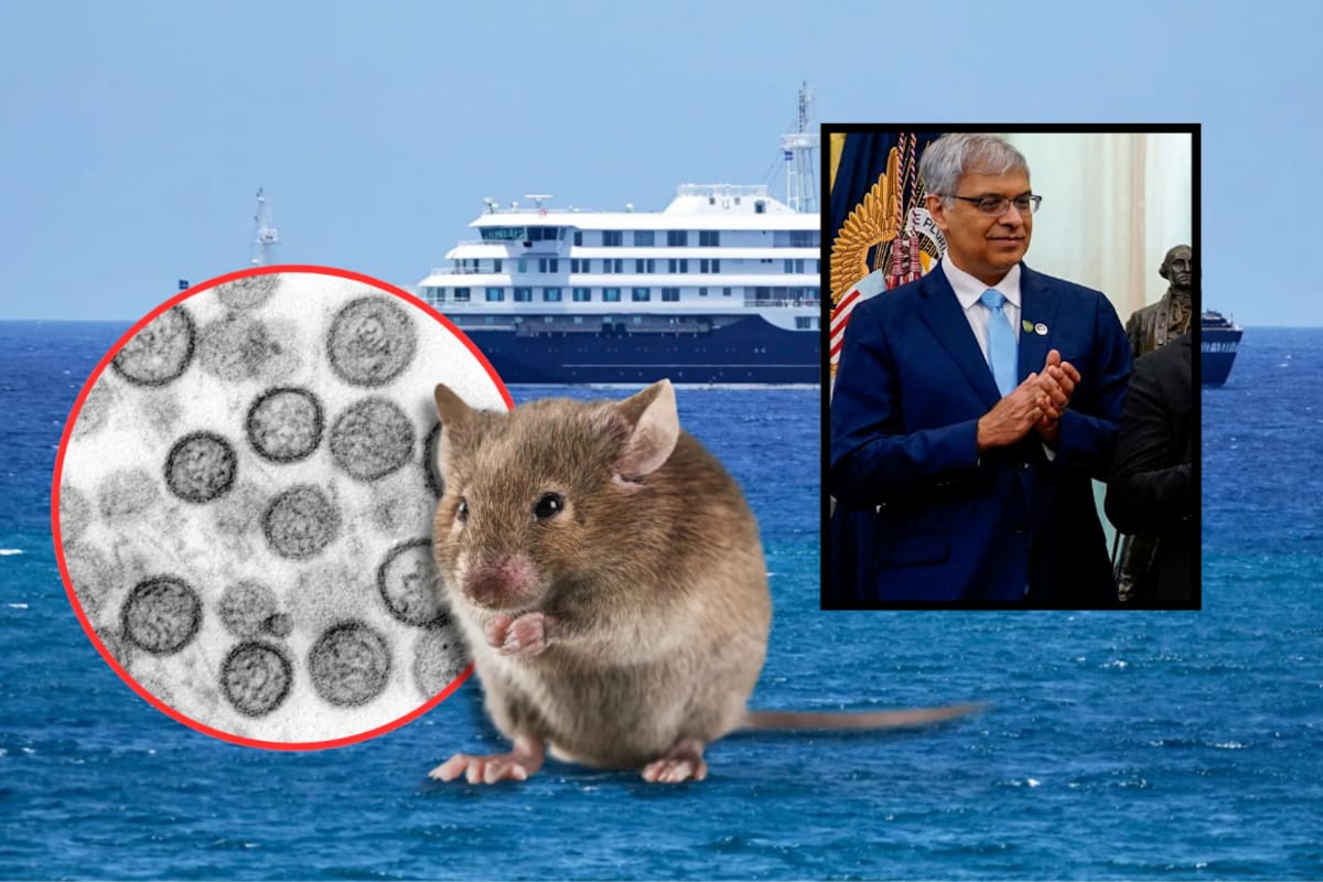 EEUU descarta riesgo elevado por hantavirus tras brote en crucero y confirma monitoreo sanitario en tres estados
