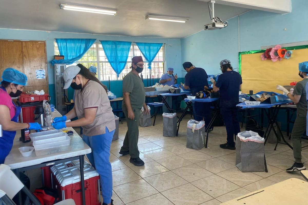 Realizarán campaña de esterilización gratuita, buscan atender zonas con mayor necesidad
