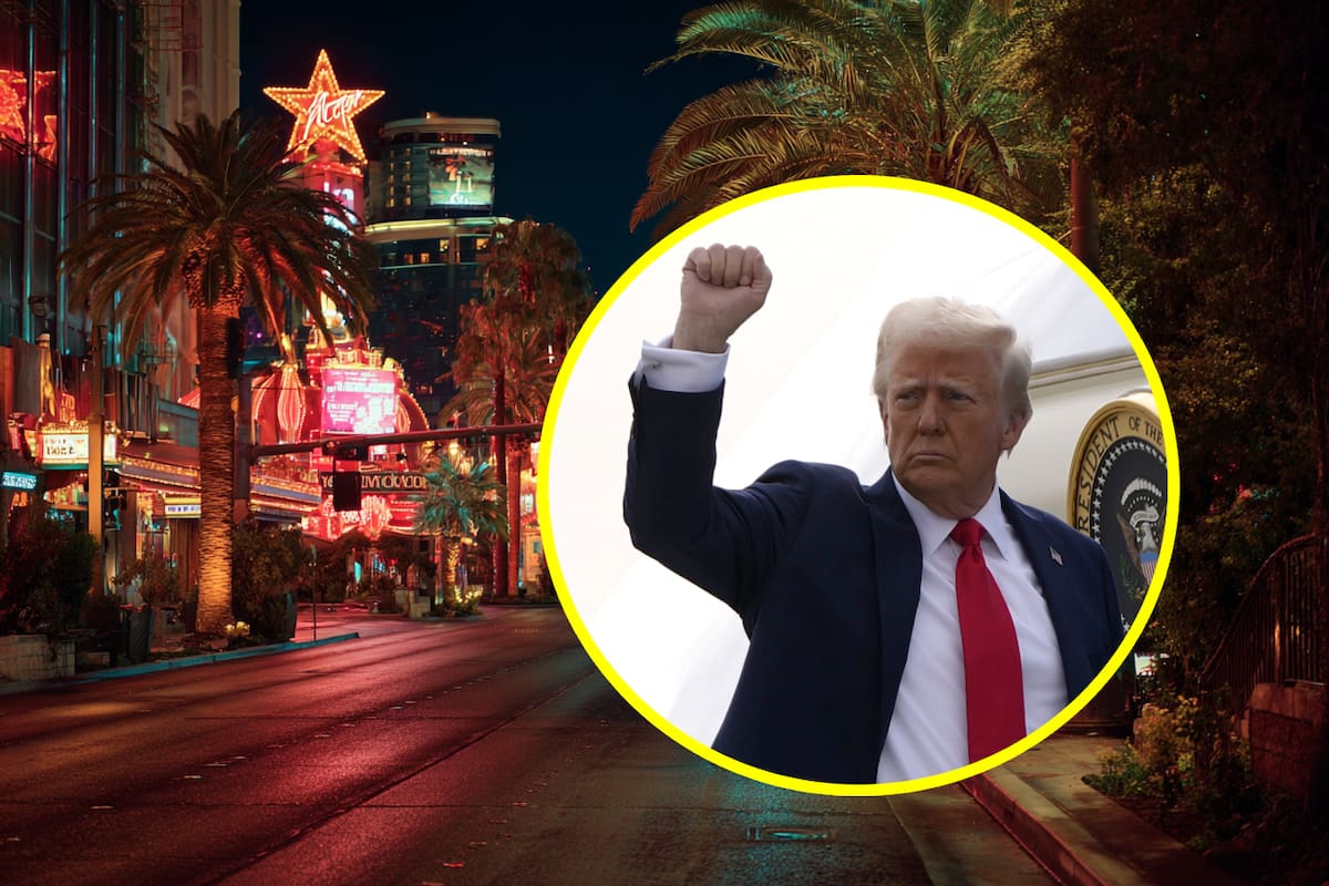 Menos turistas internacionales visitando los EEUU por políticas de Trump, pérdidas económicas podrían ser “impactantes”, indican