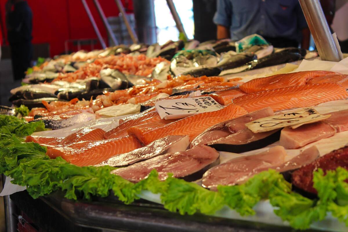 Canadá ofrece trabajo a obreros mexicanos para procesar mariscos; pagan 80 mil pesos