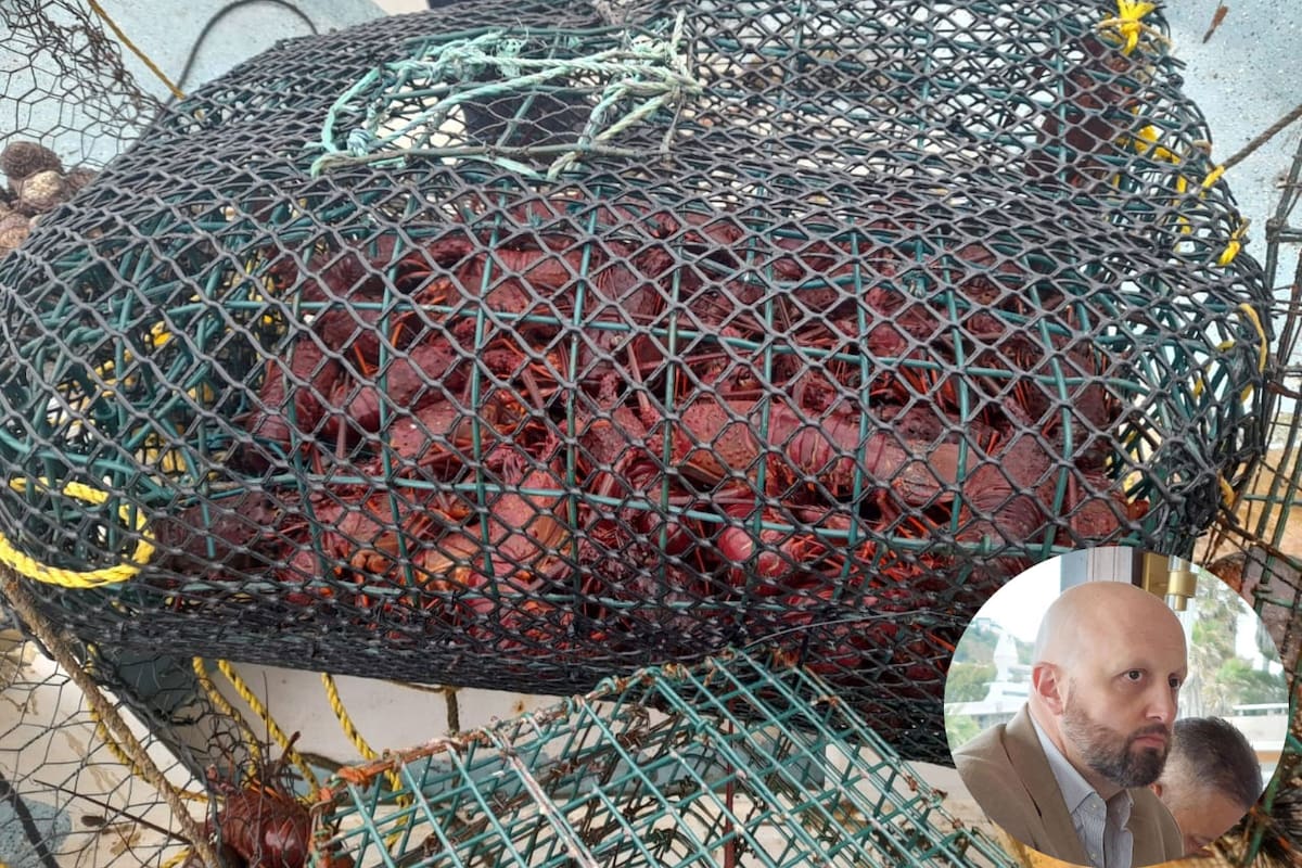 Pesca ilegal continúa creciendo en Ensenada: Canainpesca