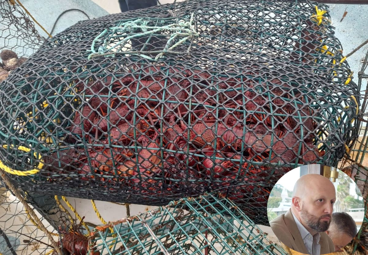 Alfonso Rosiñol de Vecchi, vicepresidente de Canainpesca dij que uno de los principales problemas que aquejan al sector, la pesca furtiva. Foto: Archivo