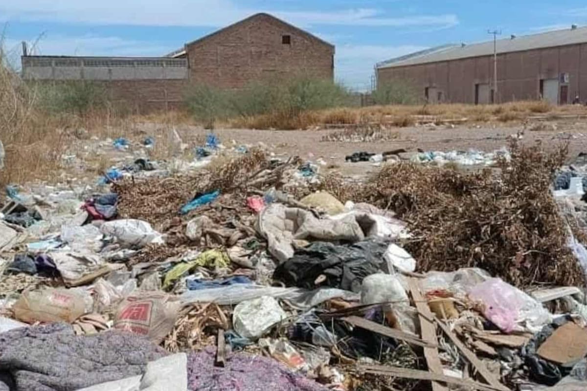 Aplica Ecología 141 multas por casas y solares abandonados en Cajeme