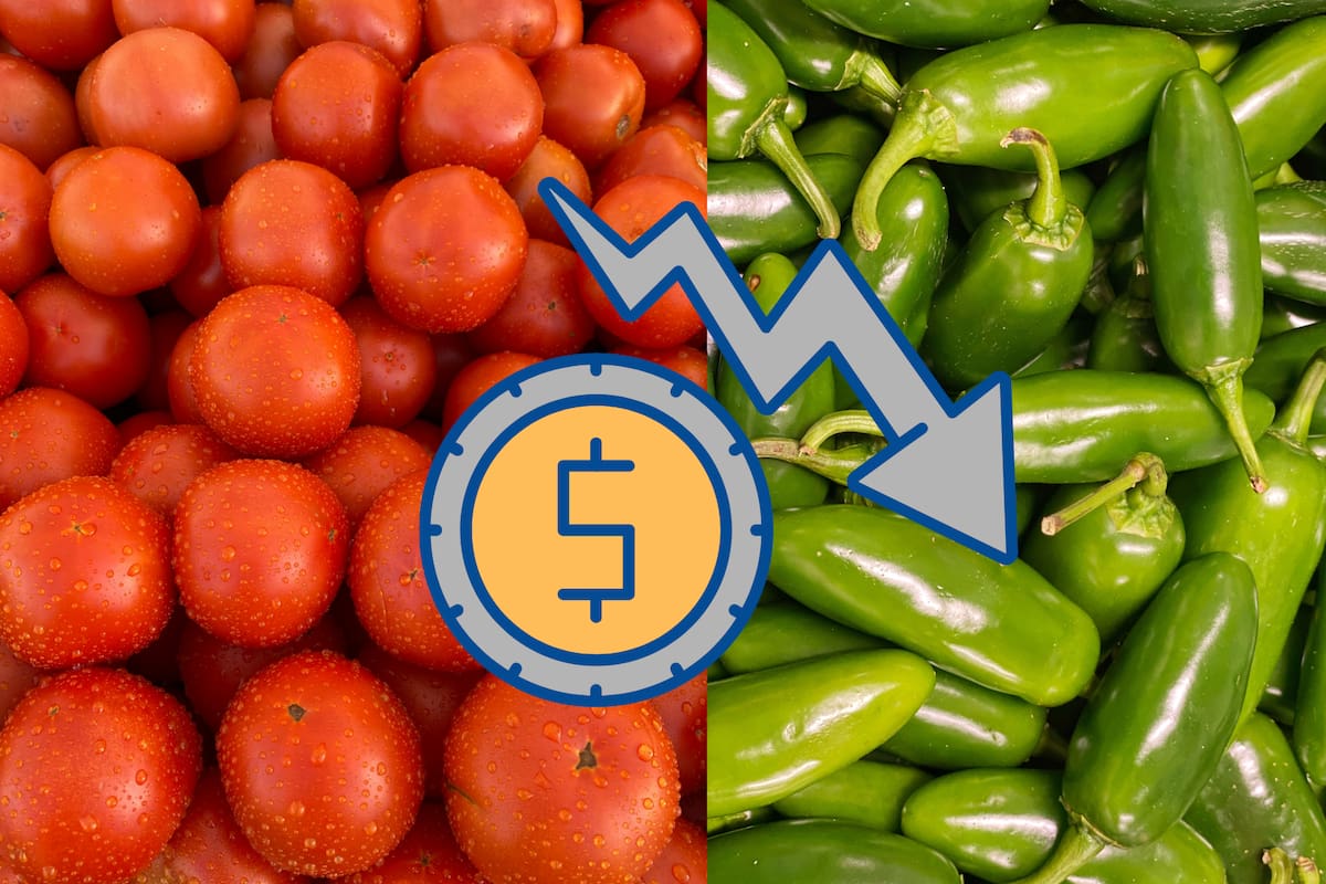 Se desploma entre 20 y 59% los precios del tomate y chiles