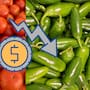Se desploma entre 20 y 59% los precios del tomate y chiles