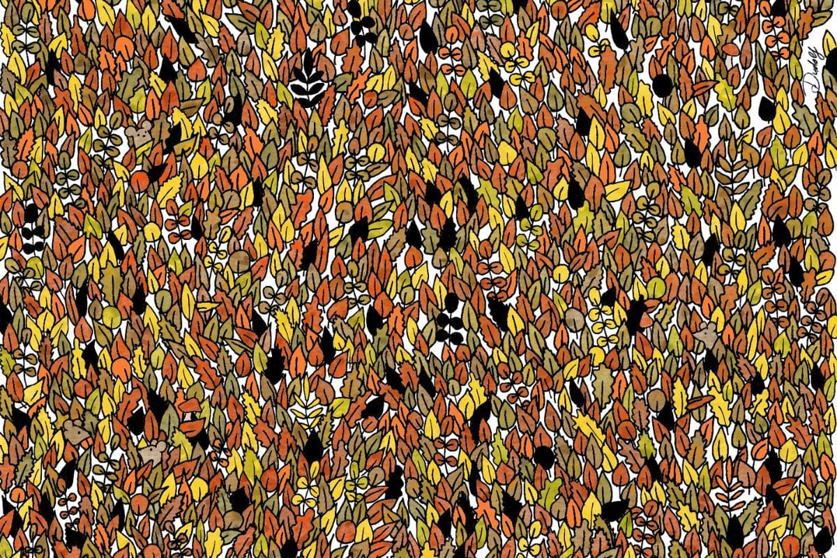 Reto visual: Encuentra los cuatro ratones y los cinco hongos en esta imagen