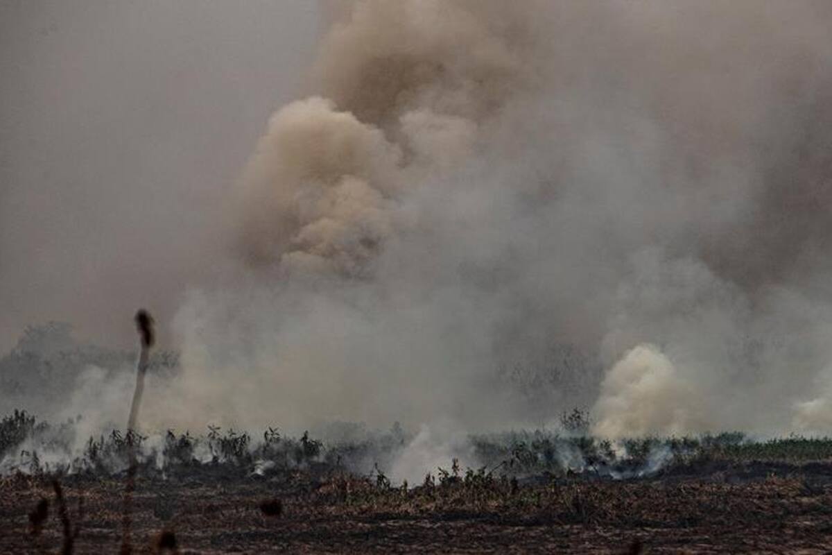 Incendios en la Amazonía brasileña se disparan y crecen un 120% en octubre