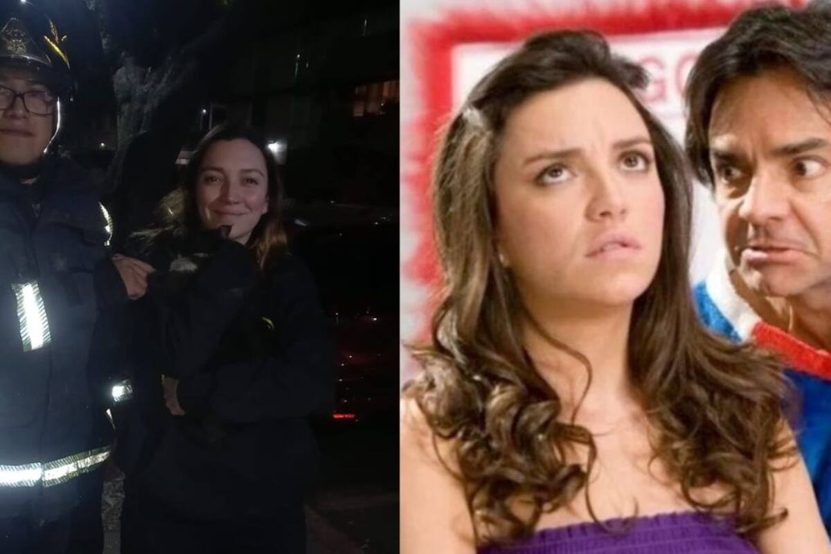 Bomberos de CDMX rescatan al gato de Regina Blandón y lo presumen en redes sociales