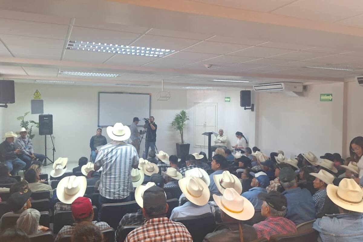 Recurre etnia Mayo a ONU para poner fin a división interna