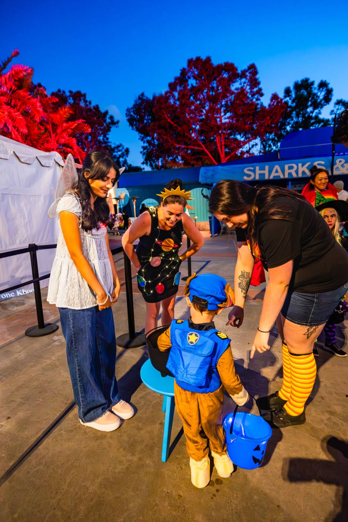 Por la noche el acuario se transformará en un resplandeciente paisaje nocturno con música en vivo, un concurso de disfraces y estaciones de truco o trato.
