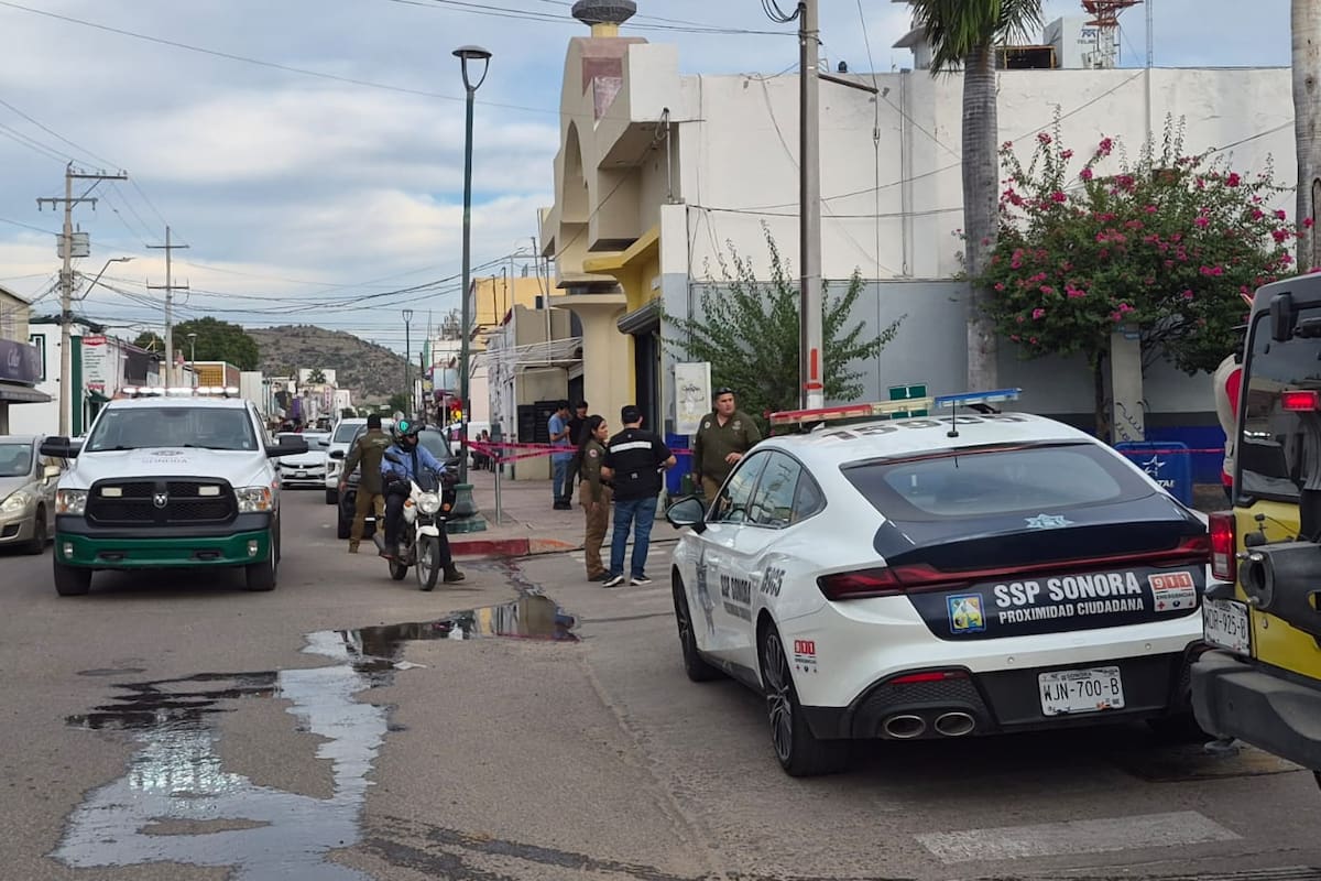 Rama de una palma provoca explosión de un transformador de la CFE y deja sin luz al Centro de Hermosillo