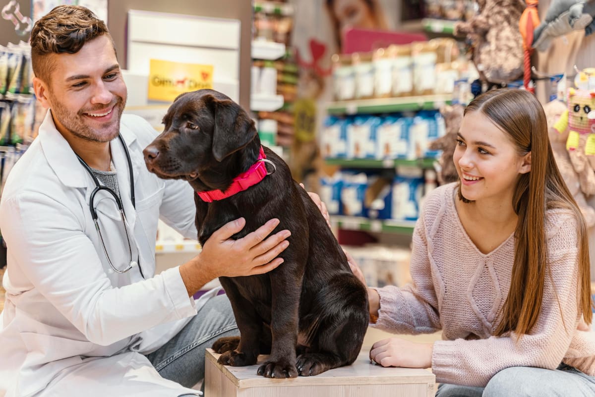 Uno de los gastos más significativos de las mascotas puede ser la atención veterinaria