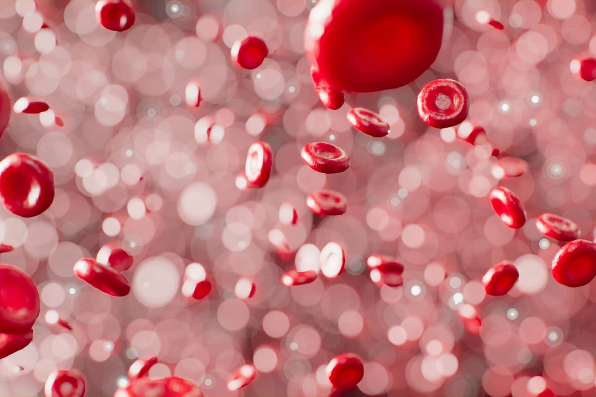 Los 5 alimentos que más ayudan a estabilizar el azúcar en sangre