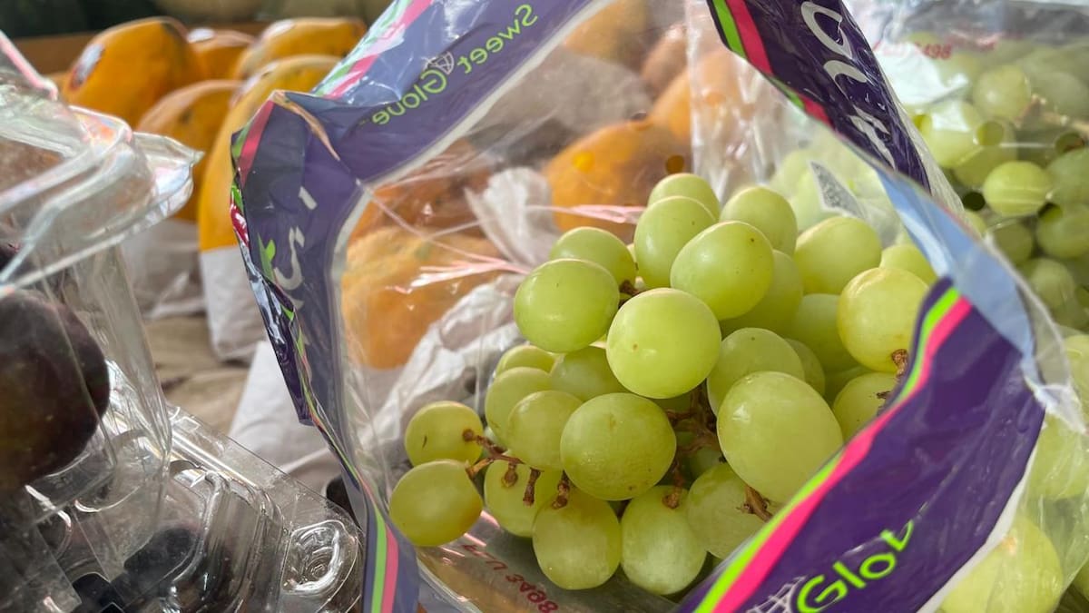 En Tijuana la venta del producto de temporada se mantiene expectante y con mayor movimiento previsto para los últimos días de diciembre, según vendedores. Foto:Michelle Castillo