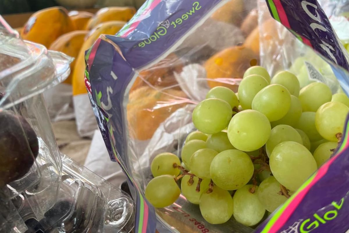 Producción nacional de uva supera las 510 mil toneladas en 2025 y Sonora lidera el sector