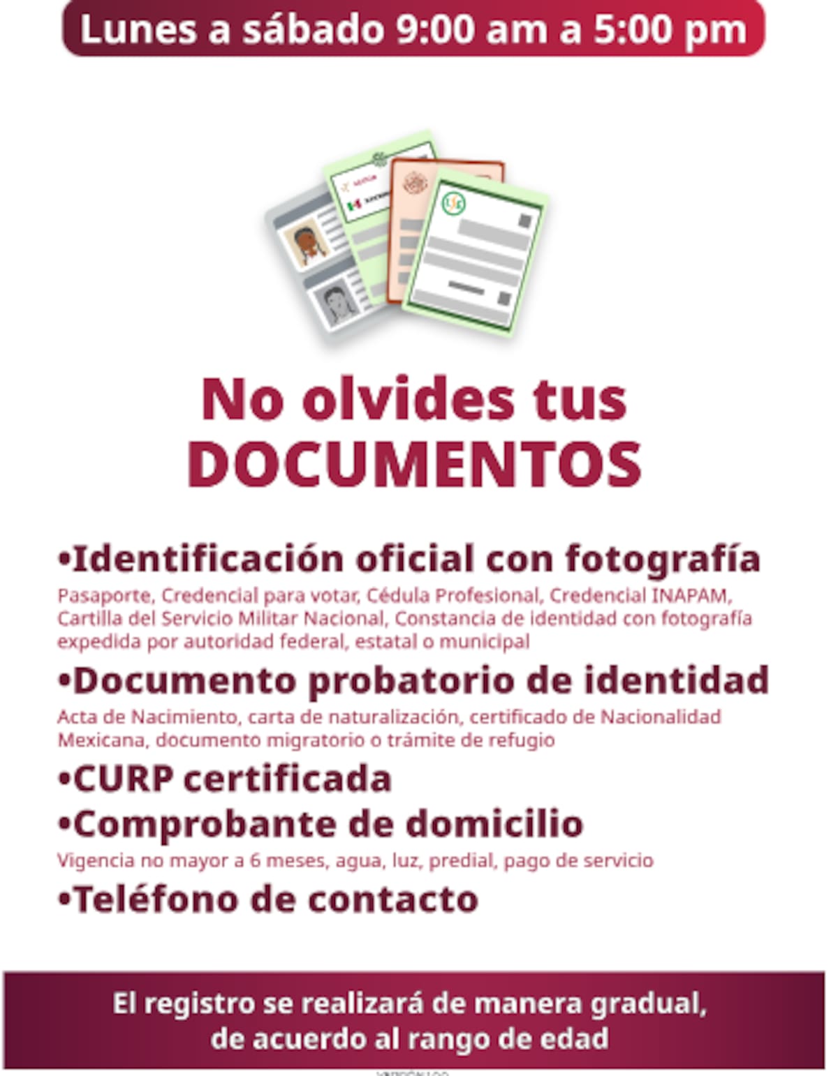 El proceso de registro será ordenado y paulatino | Captura gob.mx/bienestar