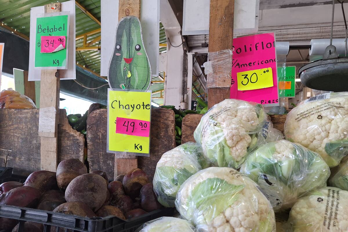 Aumenta Canasta básica: “Ya no sabemos con qué precios nos vamos a encontrar”