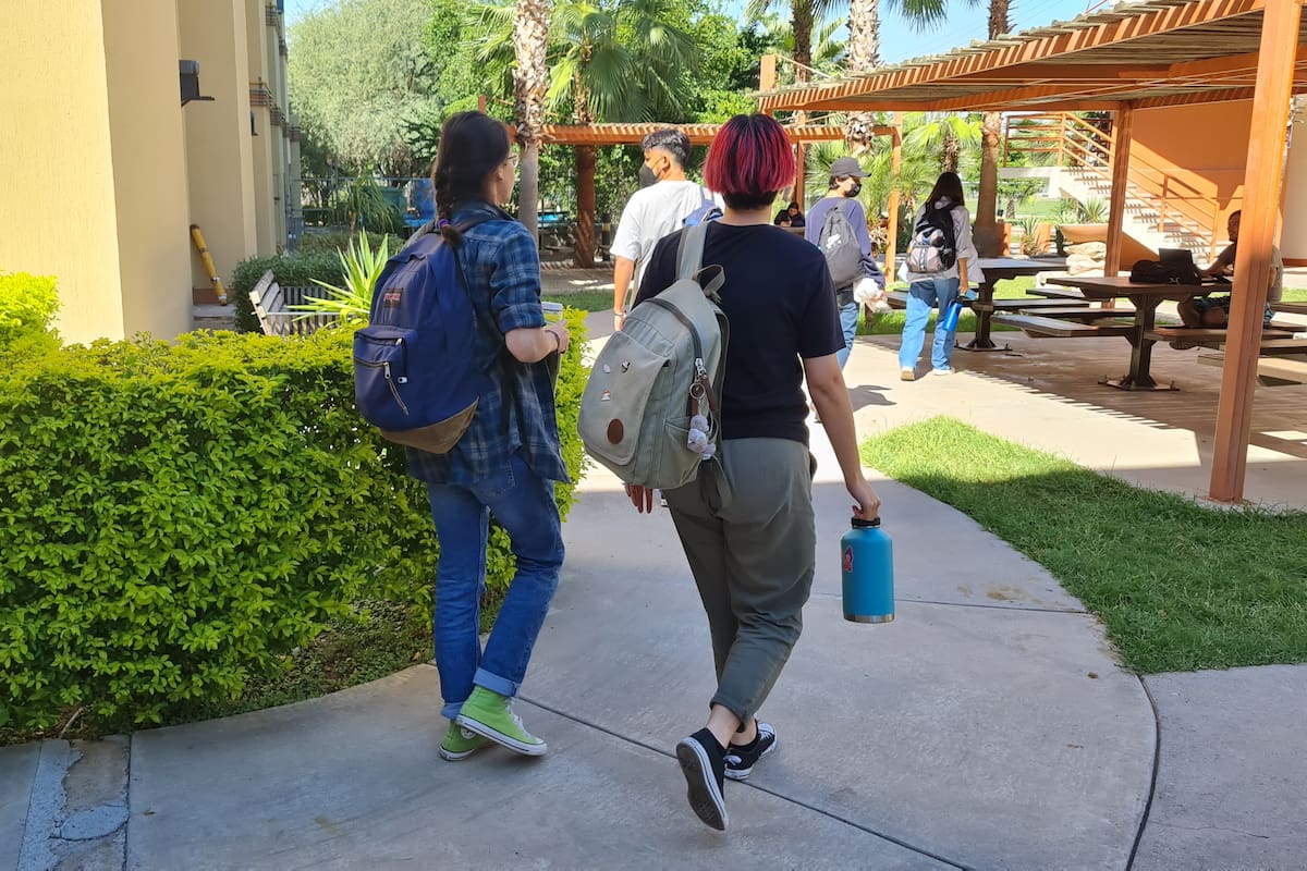 Uno de cada 10 universitarios deserta en Sonora; el mayor riesgo es tras el primer año