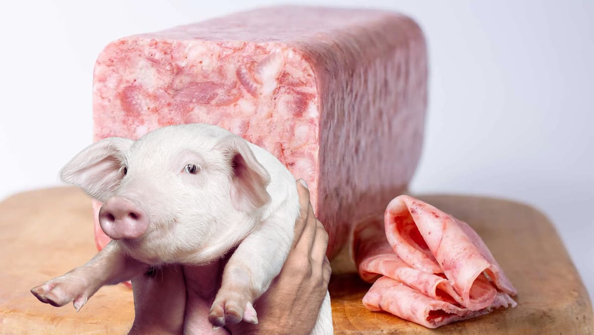 En personas con hígado graso, estos productos pueden empeorar el cuadro por varias razones metabólicas.