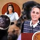 Mariela Gutiérrez, la exalcaldesa que reconoció haber sacrificado a 10 mil perros fue defendida por Sheinbaum quien aseguró “no violó la ley” mientras la FGJEM ya investiga posible maltrato animal