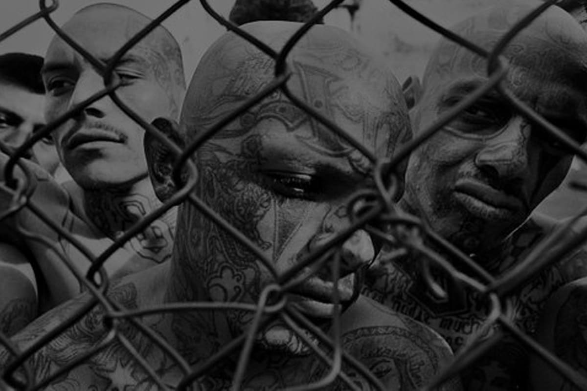 4 integrantes de la Mara Salvatrucha son detenidos en Chiapas