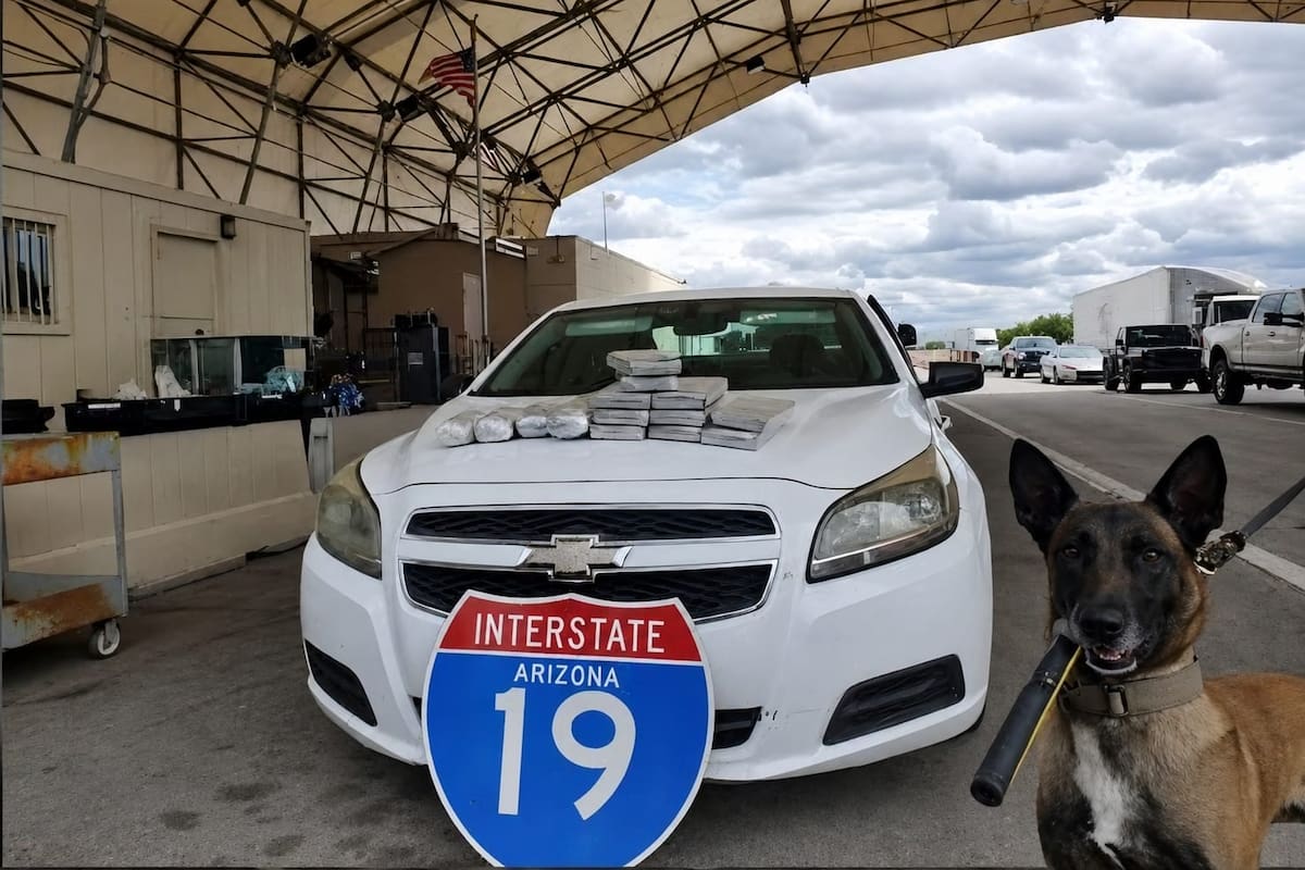 Agente canino K-9 detecta narcóticos en puesto de revisión migratorio de Arizona
