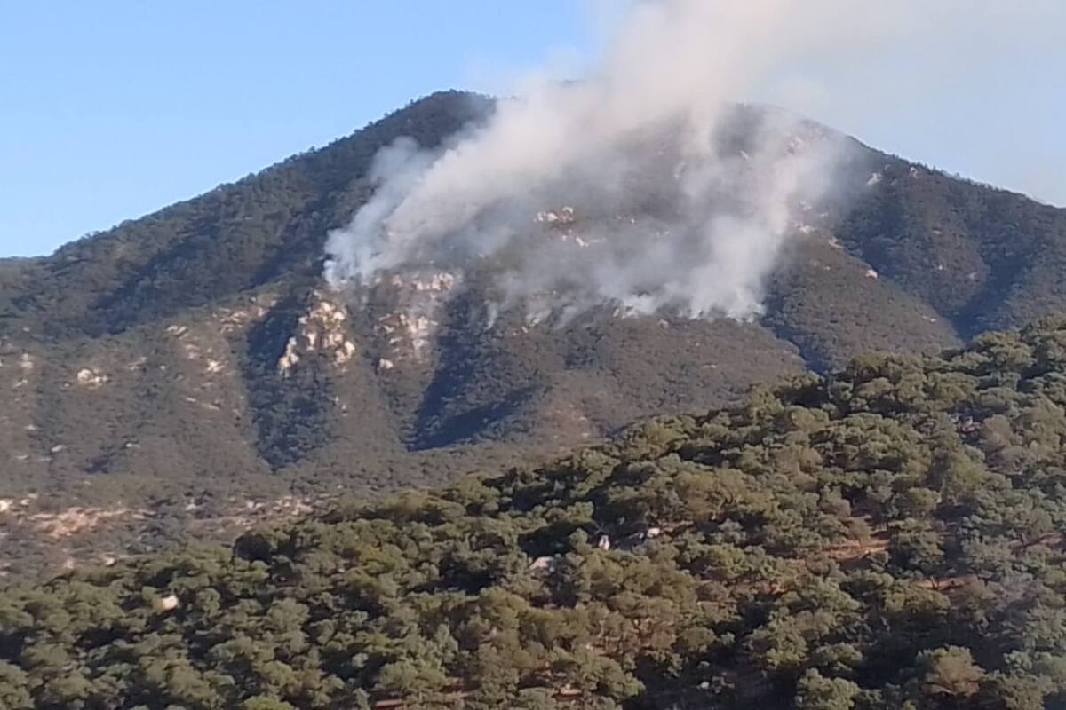Incendio forestal en Aconchi: Buscan apagar el fuego que ha consumido bosque de encino y pino