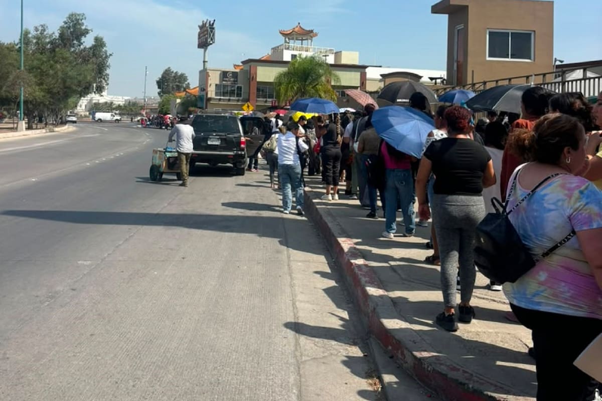 Registran largas filas para la Tarjeta Violeta en Tijuana; madres solteras esperan desde la madrugada