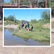 Entre lodo, basura y aguas negras, niños improvisan puente con llantas para ir a la escuela en el ejido El Buey de Hermosillo