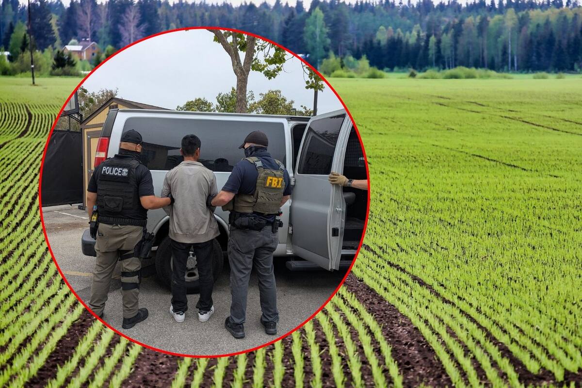 Redadas migratorias provocan escasez de trabajadores agrícolas y pérdidas en cultivos en California