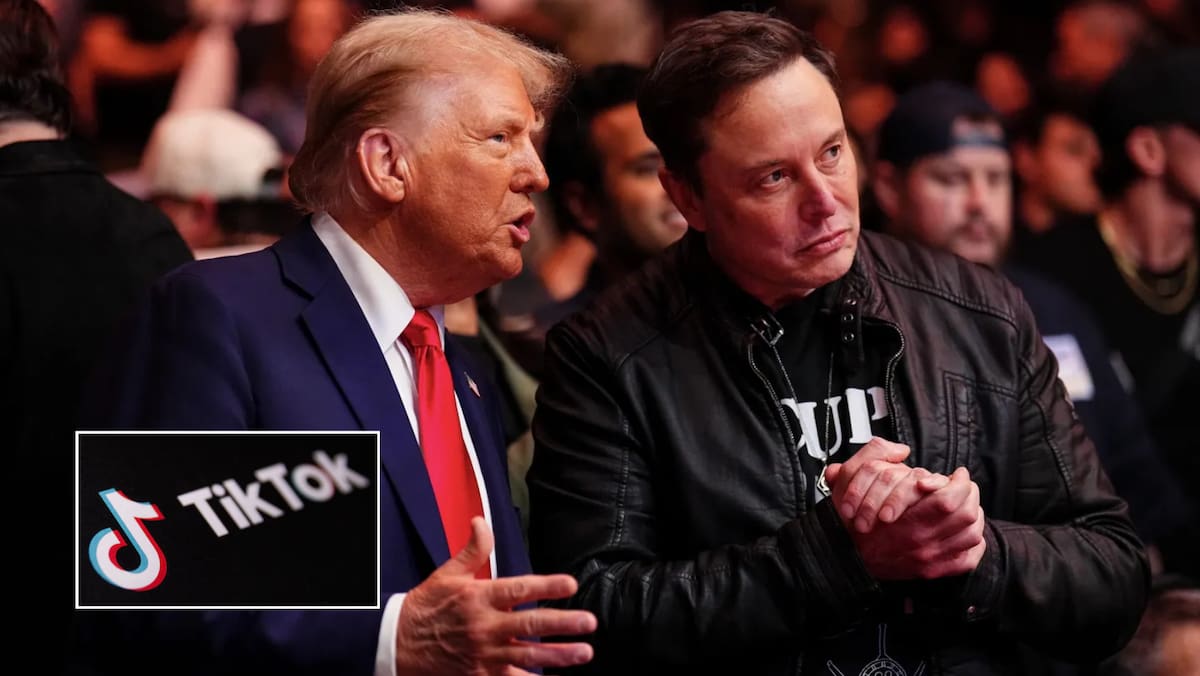 El presidente de EU declaró que apoyaría la compra de la plataforma por parte de Musk, tras las tensiones con el gobierno chino y la ley que amenaza con el cierre de la aplicación.
Foto: Donald Trump y Elon Musk.
Chris Unger/Zuffa LLC via Getty Images.
Tiktok REUTERS/Dado Ruvic/Illustration