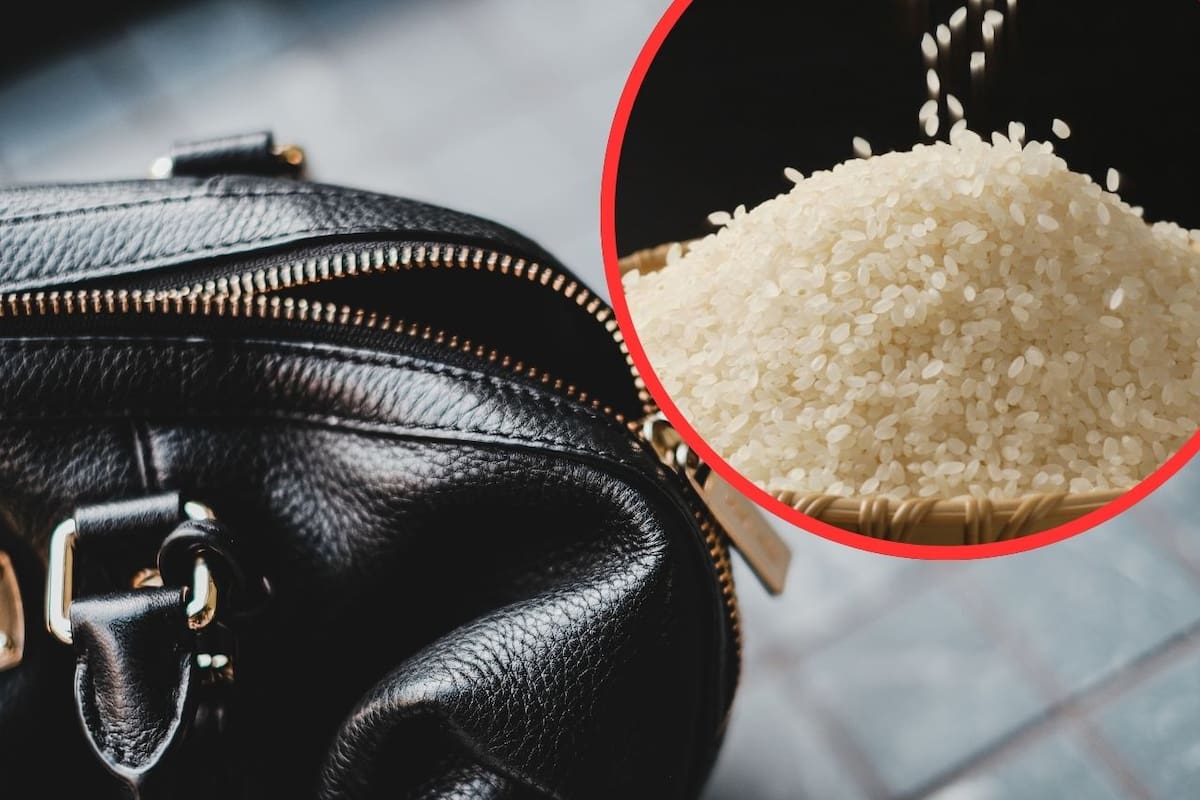 Japón desmantela operación de contrabando: Interceptan 45 toneladas de arroz vietnamita