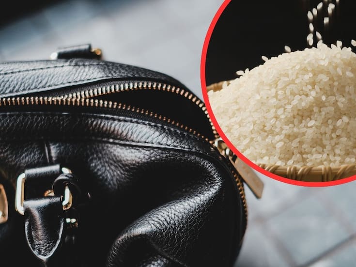 Japón desmantela operación de contrabando: Interceptan 45 toneladas de arroz vietnamita