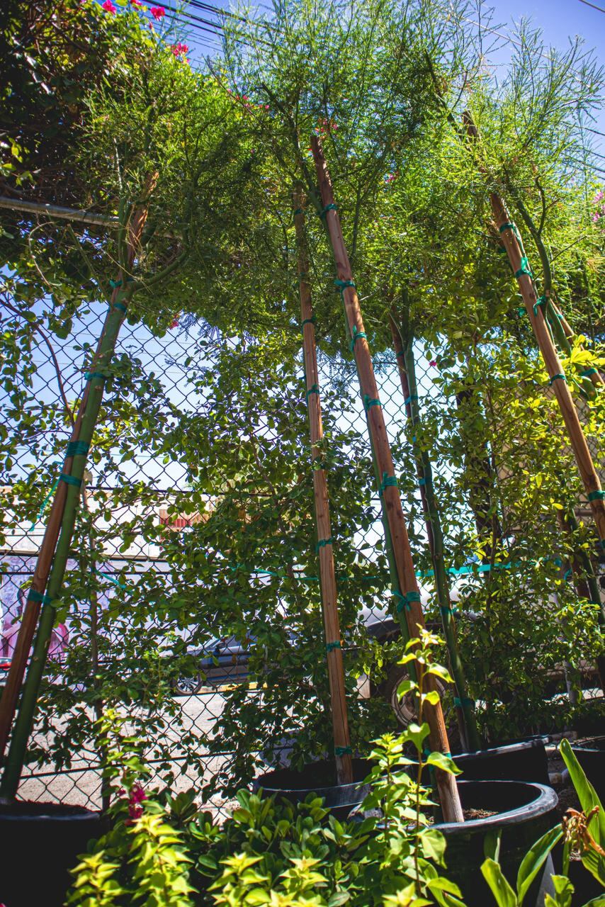 Foto: Andrés O. Farrera.